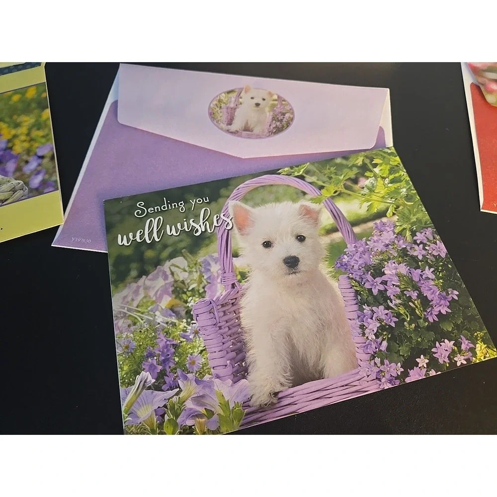 Set of‎ 7 Animal Birthday Get Well Cards Dog Cat Lover Greeting Card Lot NEW